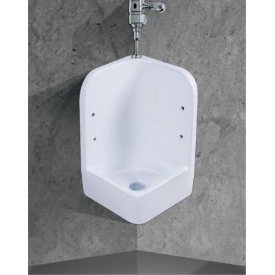 wall hung urinal